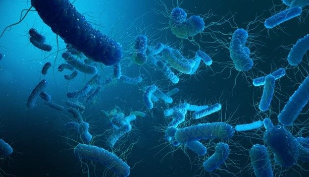 چه زمانی باید به پزشک مراجعه کرد؟