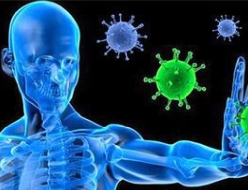 سیستم ایمنی چیست؟